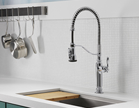 Built-in decorative kitchen sink with a pull down sprayer faucet.