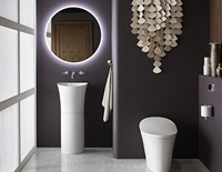 Decorative stand-alone kitchen sink with a back-lighted mirror above it next to a decorative toilet.